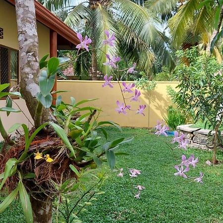 El-Nivasa Villa In ウェリガマ エクステリア 写真