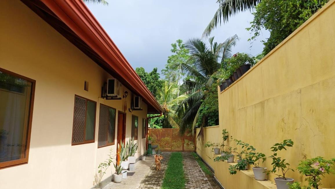 El-Nivasa Villa In ウェリガマ エクステリア 写真