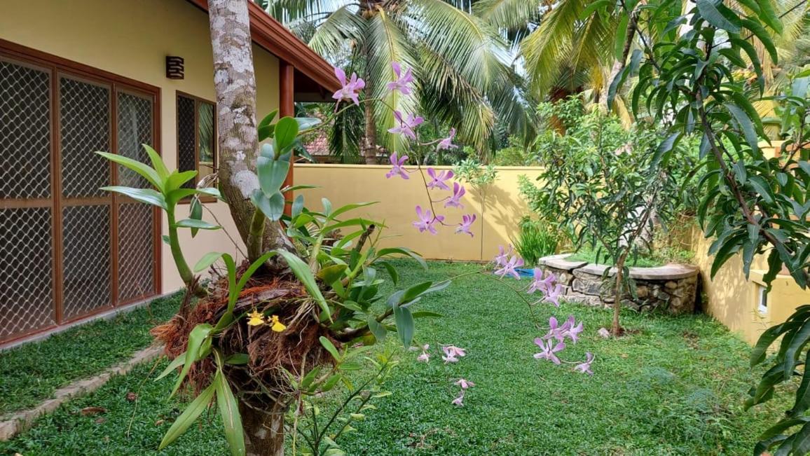 El-Nivasa Villa In ウェリガマ エクステリア 写真